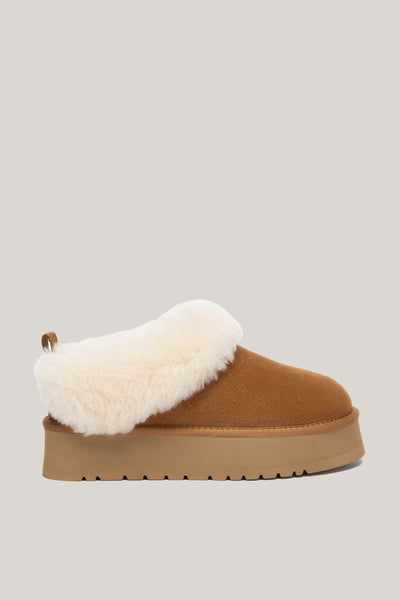 Glacial Slippers - Chestnut - image 1