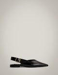 Daisy Flats