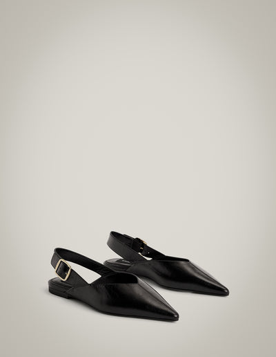 Daisy Flats