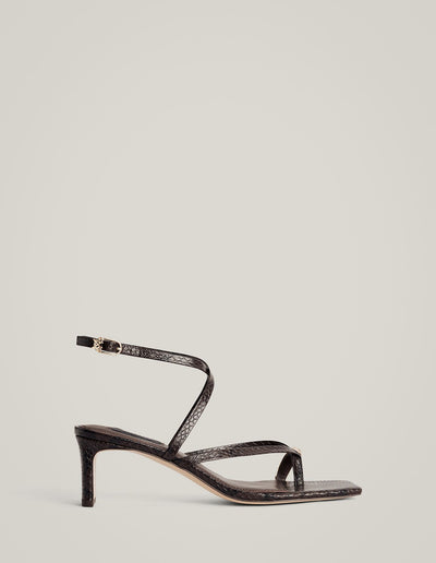 Theo Heel