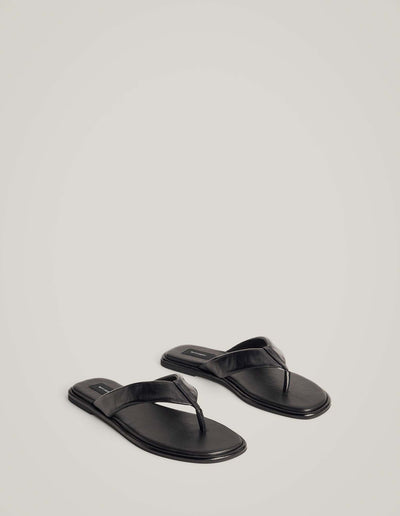 Lexi Slides