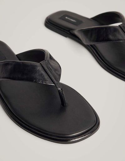 Lexi Slides